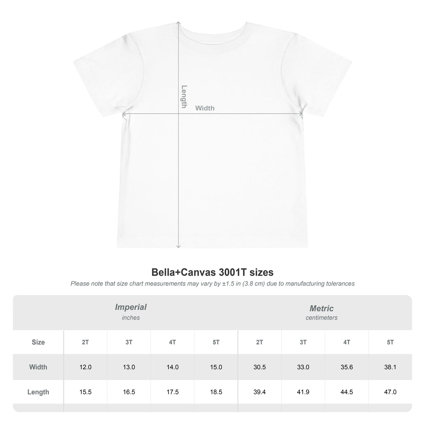 Believer Toddler Boy Shirt | Christian Boy Tee | Faith Based Shirt
